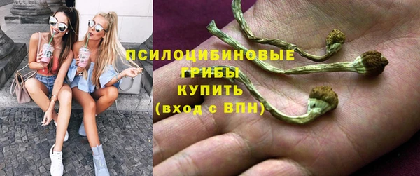гидропоника Арсеньев